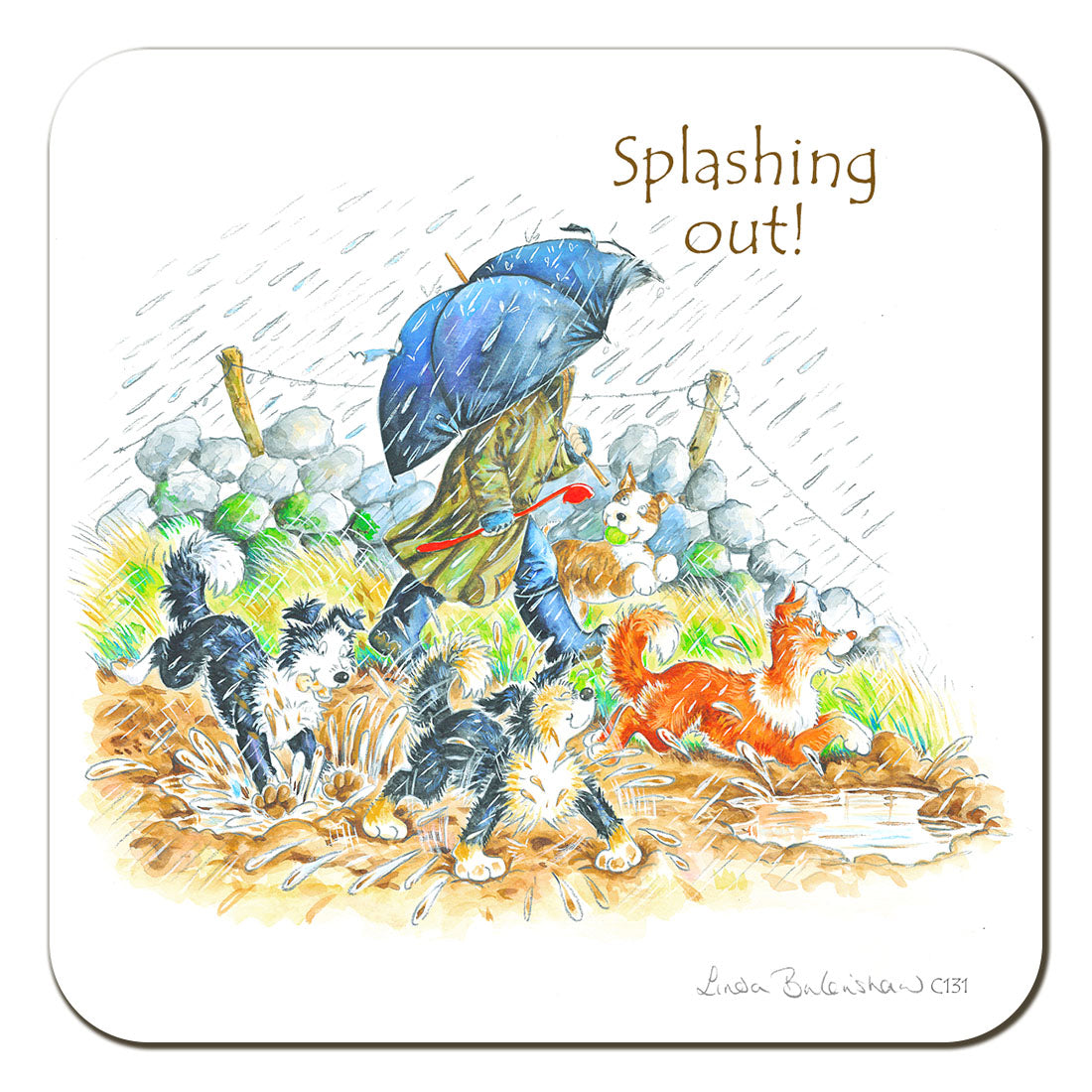 Country Comicals "Splashing Out" Coaster by Linda Birkinshaw