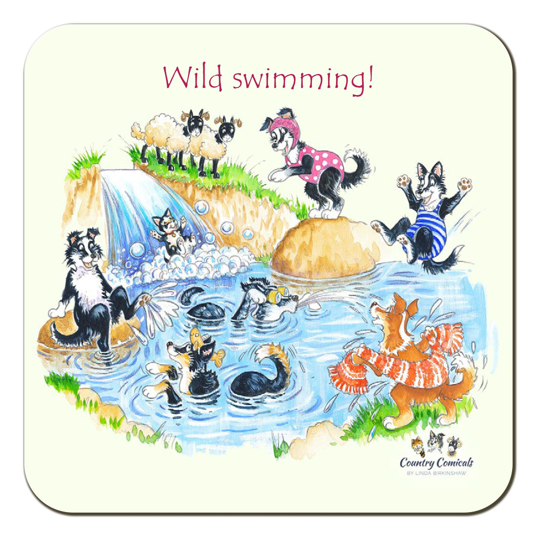 Country Comicals"Wild swimming" Coaster by Linda Birkinshaw