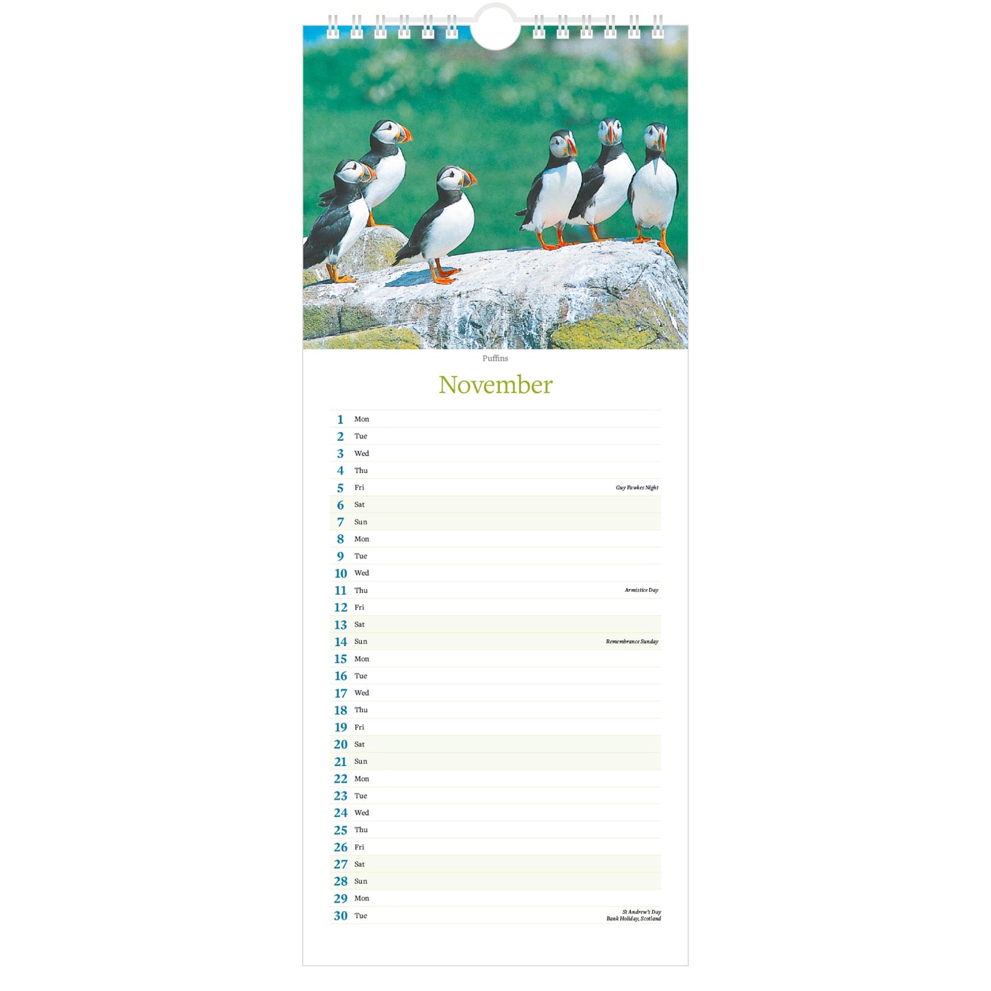 Northumberland Images Calendar 2027 - November (Puffins)