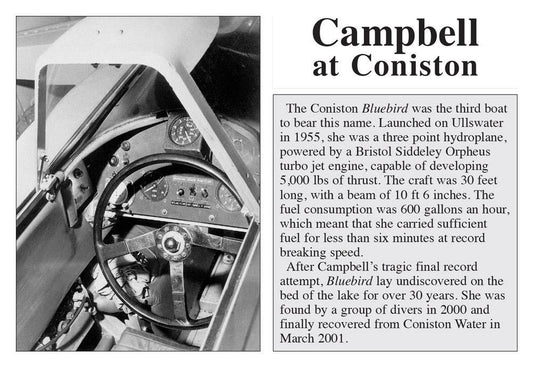 Campbell at Coniston Postcard | Great Stuff from Cardtoons