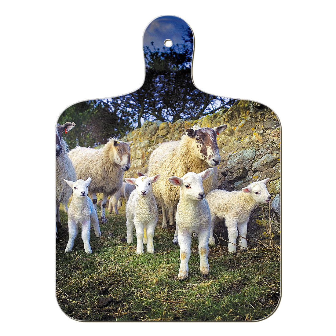 Lamb Gang chopping board - Great Stuff from Cardtoons