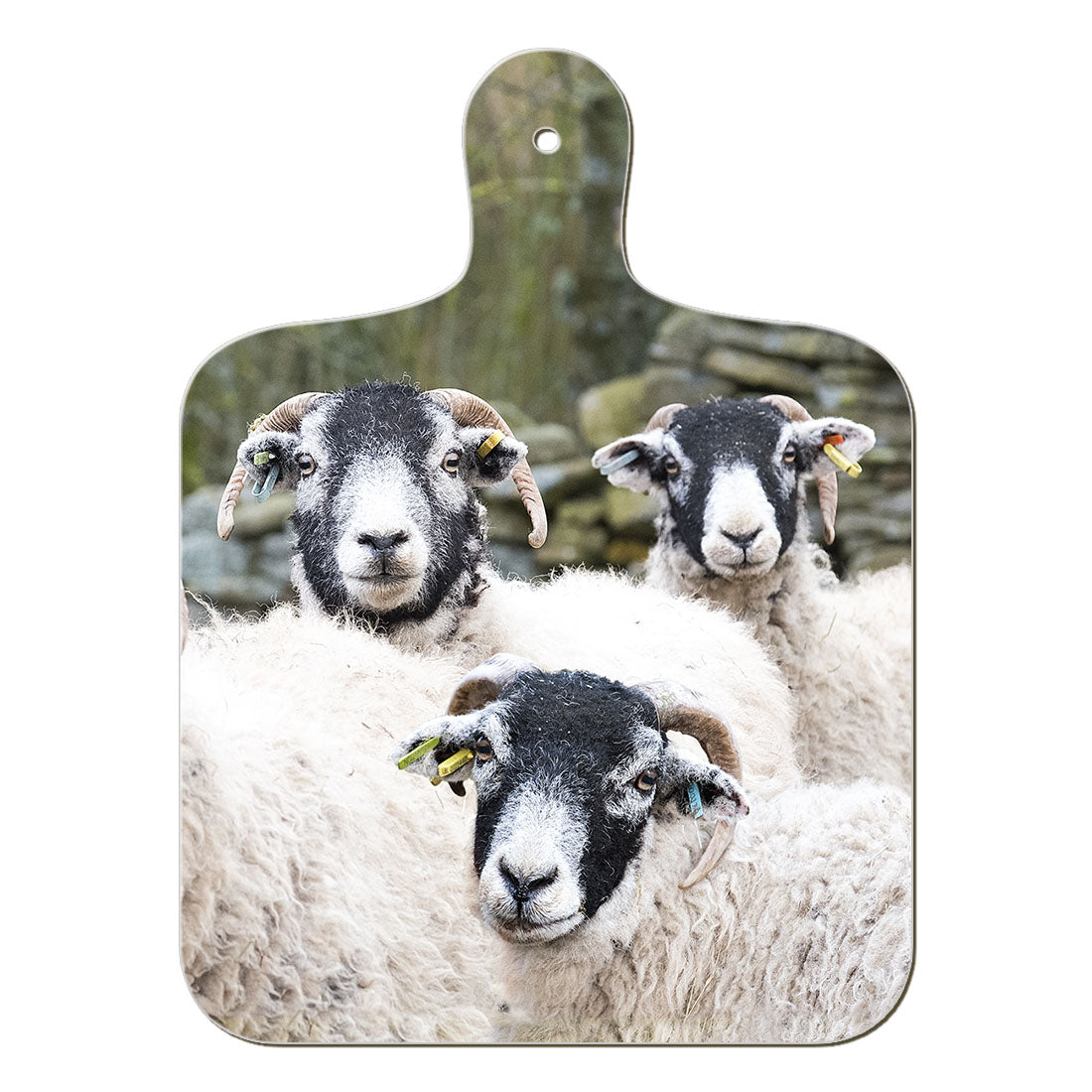 Swaledale Sheep chopping board - Great Stuff from Cardtoons