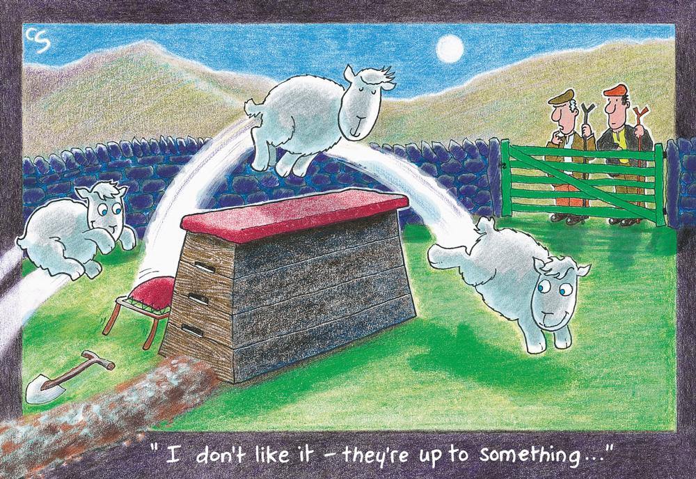 "I Don't Like It, They're Up To Something" Postcard | Great Stuff from Cardtoons