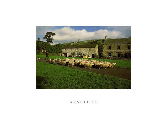 Arncliffe Postcard | Great Stuff from Cardtoons