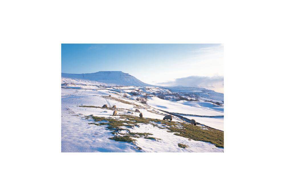 Ingleborough Snow postcard | Great Stuff from Cardtoons