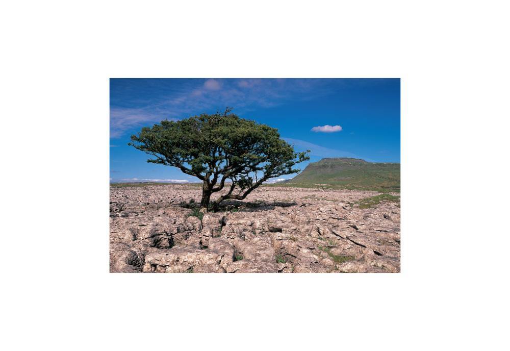 Ingleborough postcard | Great Stuff from Cardtoons