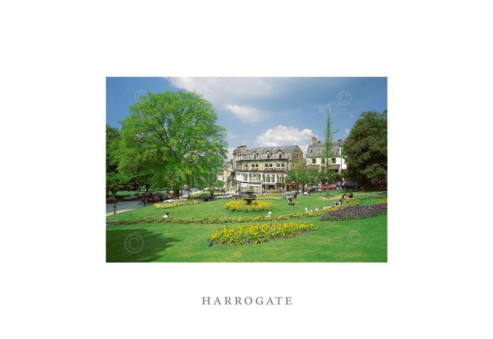 Harrogate postcard | Great Stuff from Cardtoons