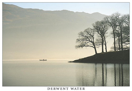 Rowing Boat on Derwent Water postcard | Great Stuff from Cardtoons