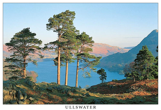 Ullswater from Keldas postcard | Great Stuff from Cardtoons