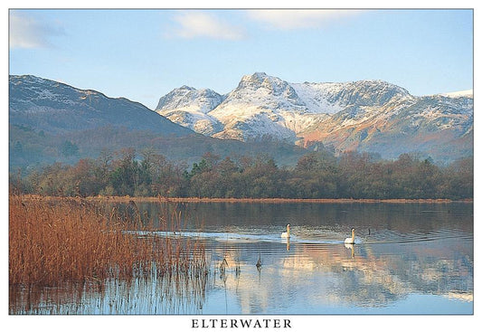 Elterwater and the Langdale Pikes postcard | Great Stuff from Cardtoons