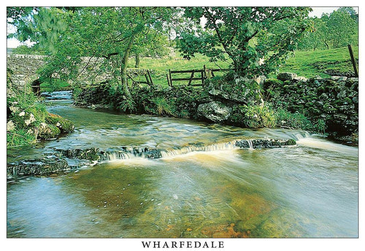 River Cray, Upper Wharfedale postcard | Great Stuff from Cardtoons