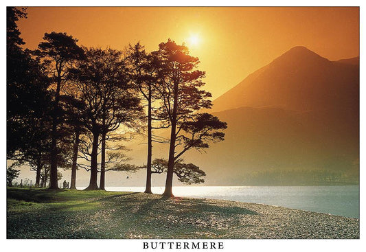 Buttermere postcard | Great Stuff from Cardtoons