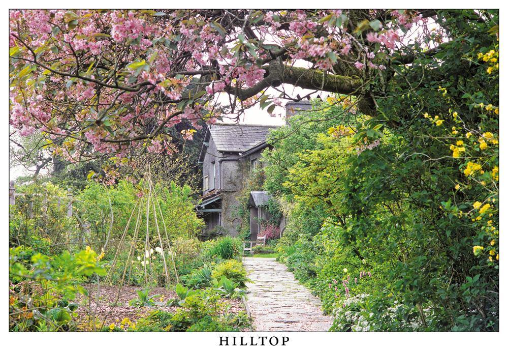 Hilltop postcard | Great Stuff from Cardtoons