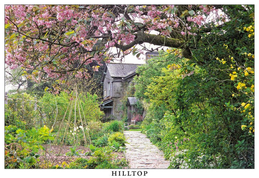 Hilltop postcard | Great Stuff from Cardtoons