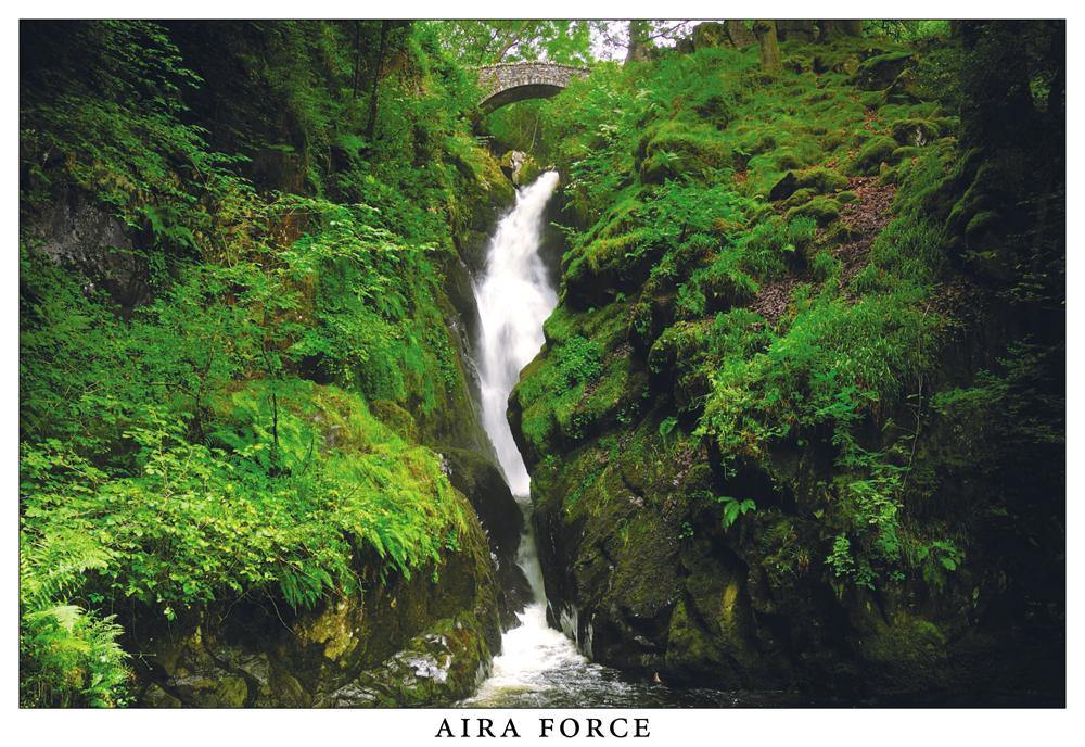 Aira Force Postcard | Great Stuff from Cardtoons