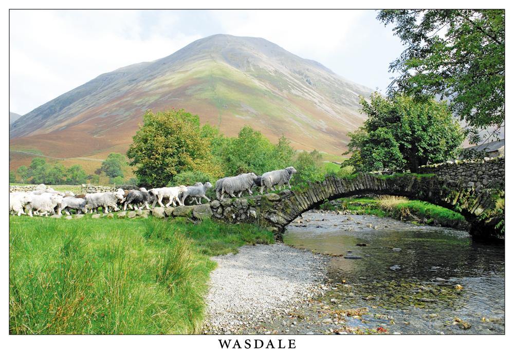 Wasdale postcard | Great Stuff from Cardtoons