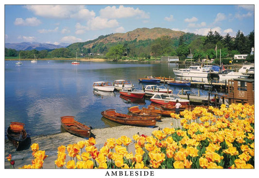 Ambleside Postcard | Great Stuff from Cardtoons