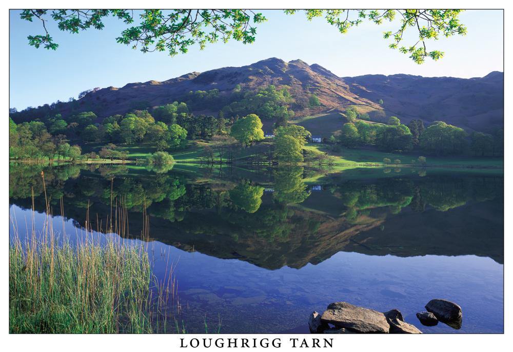 Loughrigg Tarn postcard | Great Stuff from Cardtoons