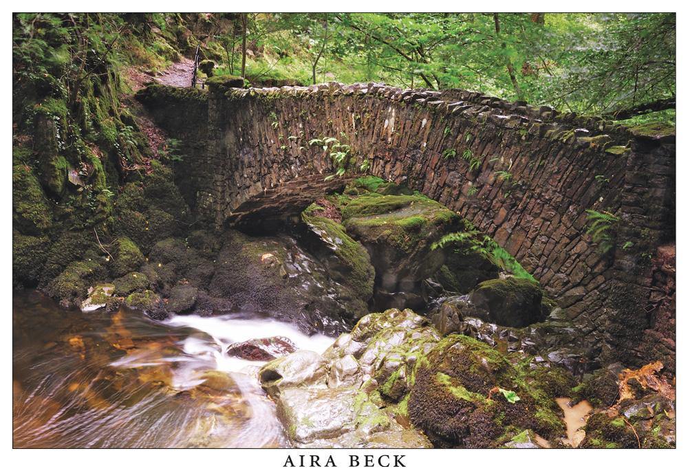 Aira Beck, near Ullswater Postcard | Great Stuff from Cardtoons