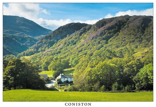 Yew Tree Farm, Coniston postcard | Great Stuff from Cardtoons