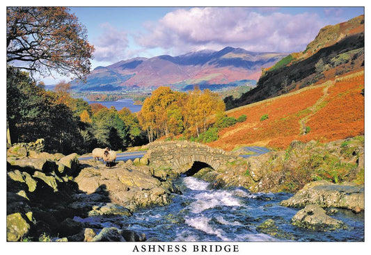 Ashness Bridge Postcard | Great Stuff from Cardtoons