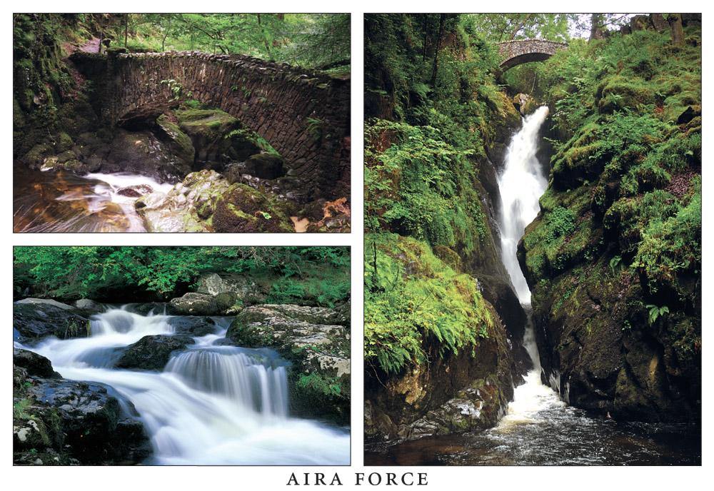 Aira Force Postcard | Great Stuff from Cardtoons