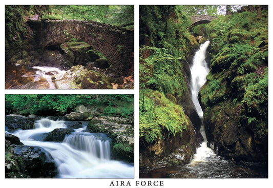 Aira Force Postcard | Great Stuff from Cardtoons