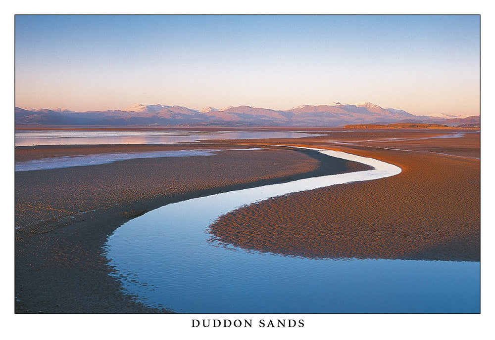 Wholesale Duddon Sands Postcard from Cardtoons