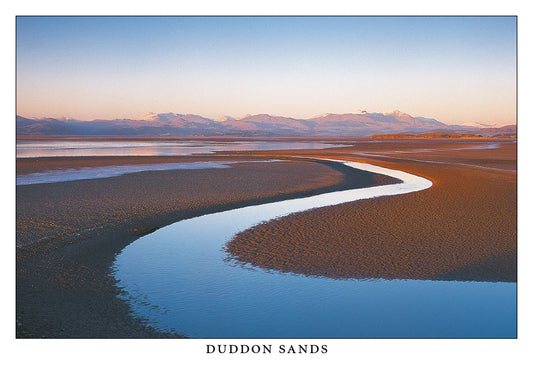 Wholesale Duddon Sands Postcard from Cardtoons