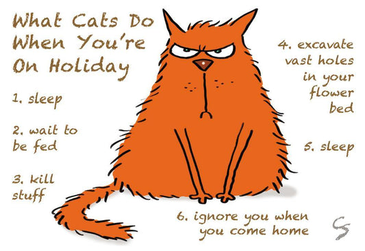 "What Cats Do On Holiday" Postcard | Great Stuff from Cardtoons