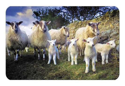 The Lamb Gang flexible fridge magnet - Great Stuff from Cardtoons