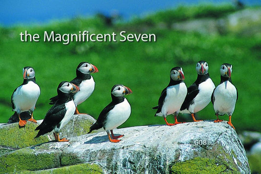 The Magnificent Seven flexible fridge magnet - Great Stuff from Cardtoons