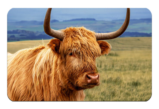 Highland Cow flexible fridge magnet - Cardtoons Publications