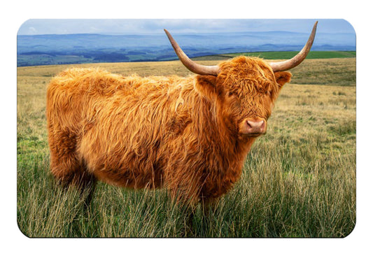 Highland Cow flexible fridge magnet - Cardtoons Publications