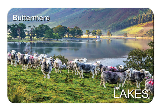 Herdies at Buttermere flexible fridge magnet | Cardtoons