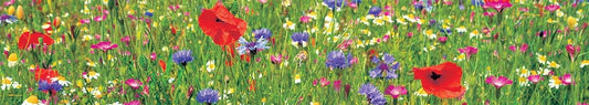 Wild Flower Meadow bookmark by Cardtoons