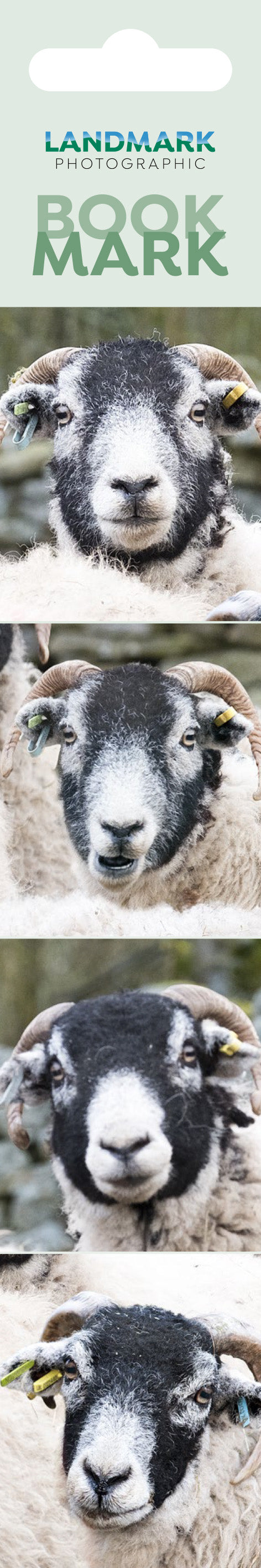 Swaledales Bookmark from Cardtoons