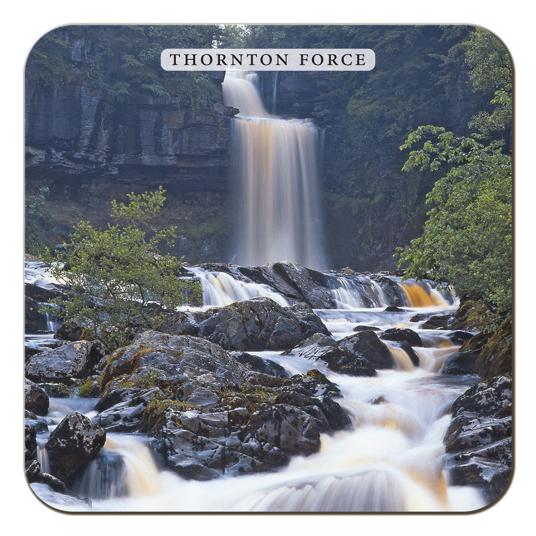 Thornton Force Coaster by Cardtoons Publications