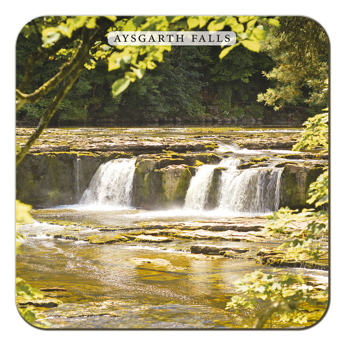 Aysgarth Falls Coaster by Cardtoons Publications