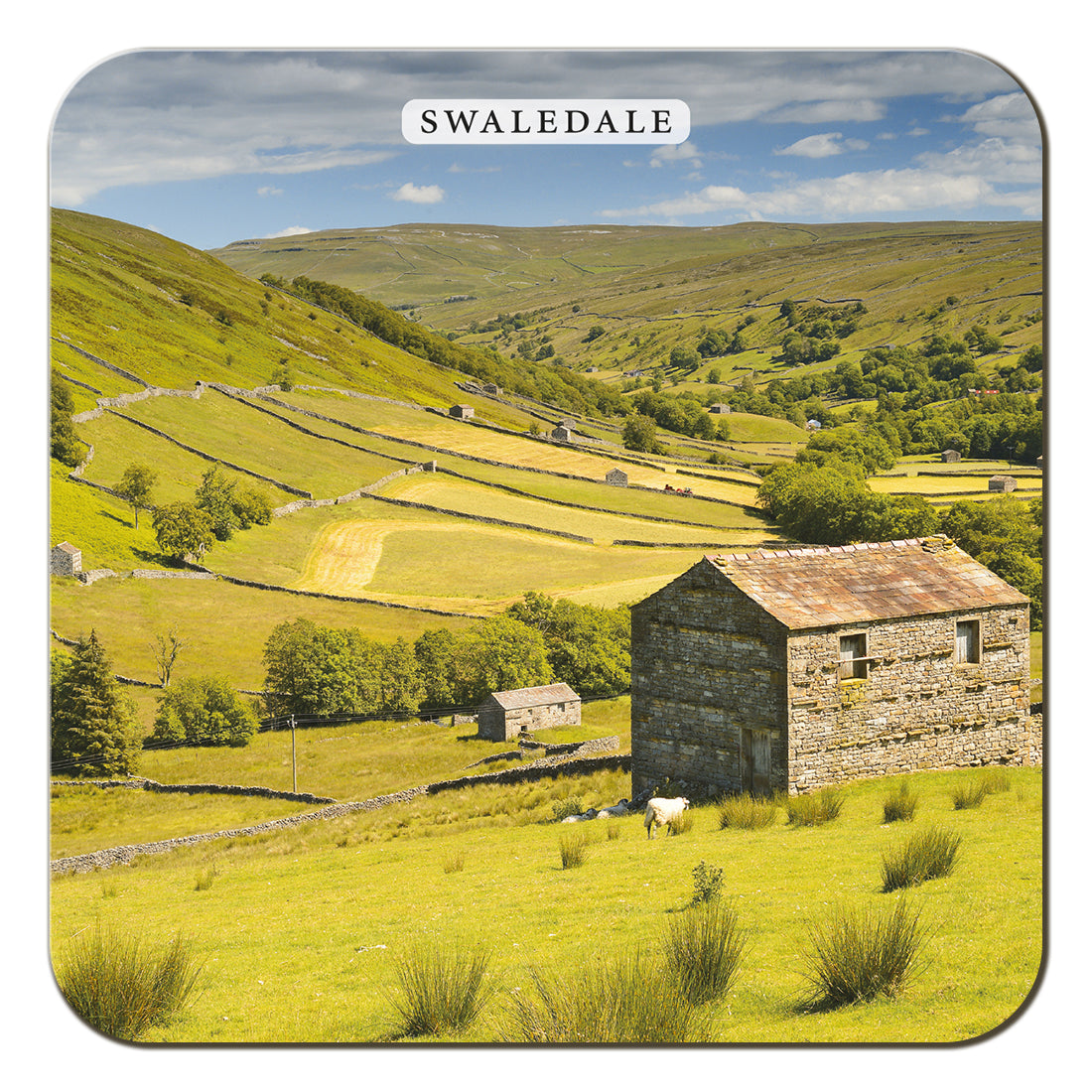 Swaledale Coaster by Cardtoons Publications
