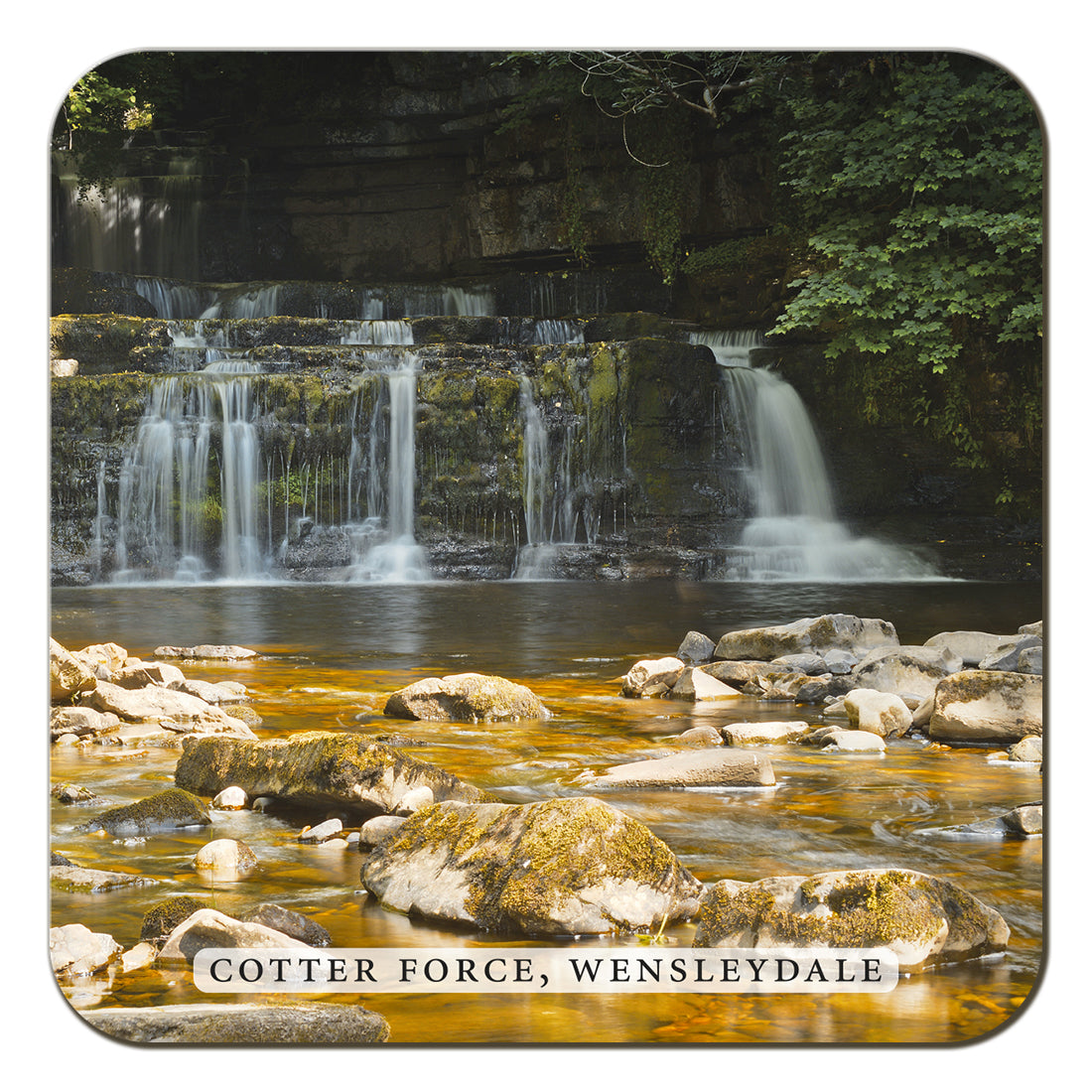 Cotter Force Wensleydale Coaster by Cardtoons Publications