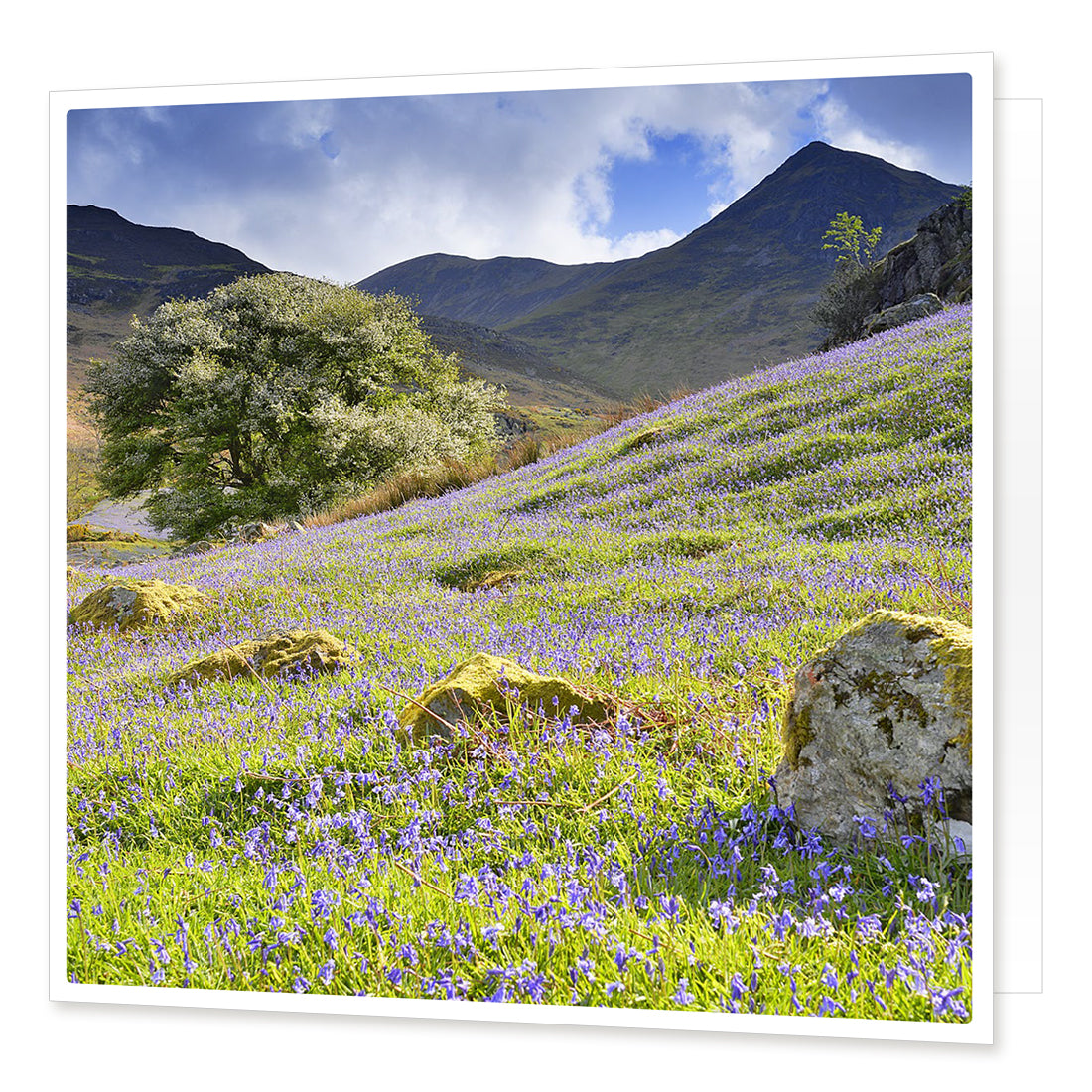 Bluebells in Rannerdale Greetings Card from the Landmark Photographic range by Cardtoons