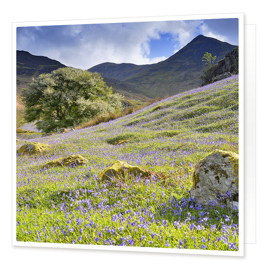 Bluebells in Rannerdale Greetings Card from the Landmark Photographic range by Cardtoons