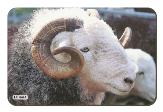 Ram fridge magnet by Cardtoons Publications