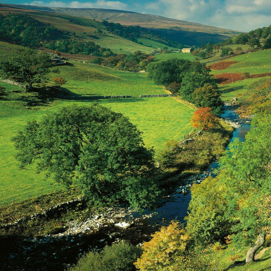 Langstrathdale, Yorkshire Dales Square Postcard by Cardtoons