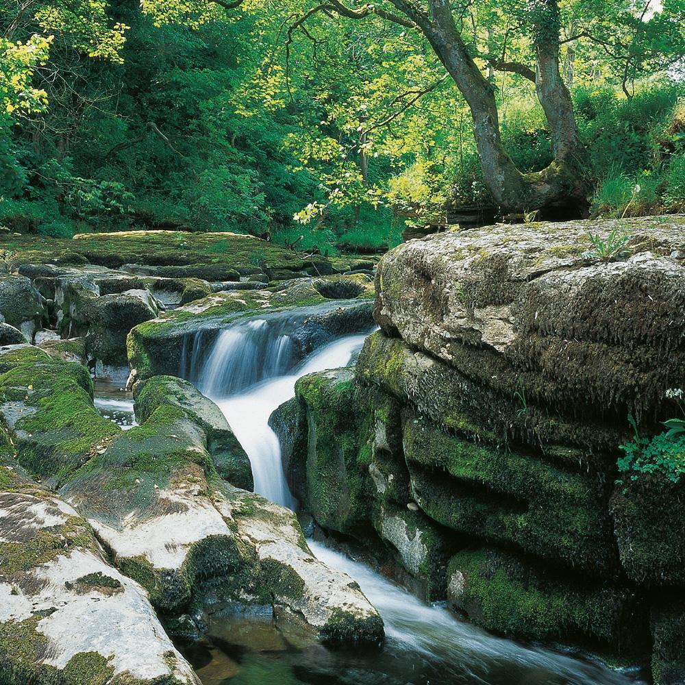 River Eden, Yorkshire Dales Square Postcard by Cardtoons