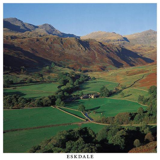 Eskdale Square Postcard by Cardtoons