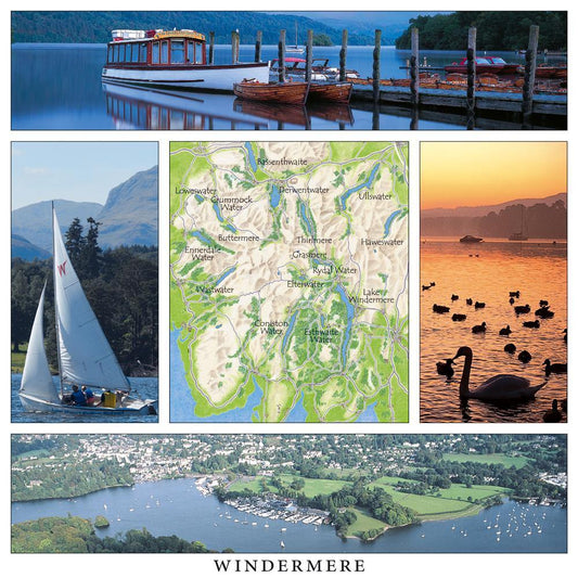 Windermere Square Postcard by Cardtoons