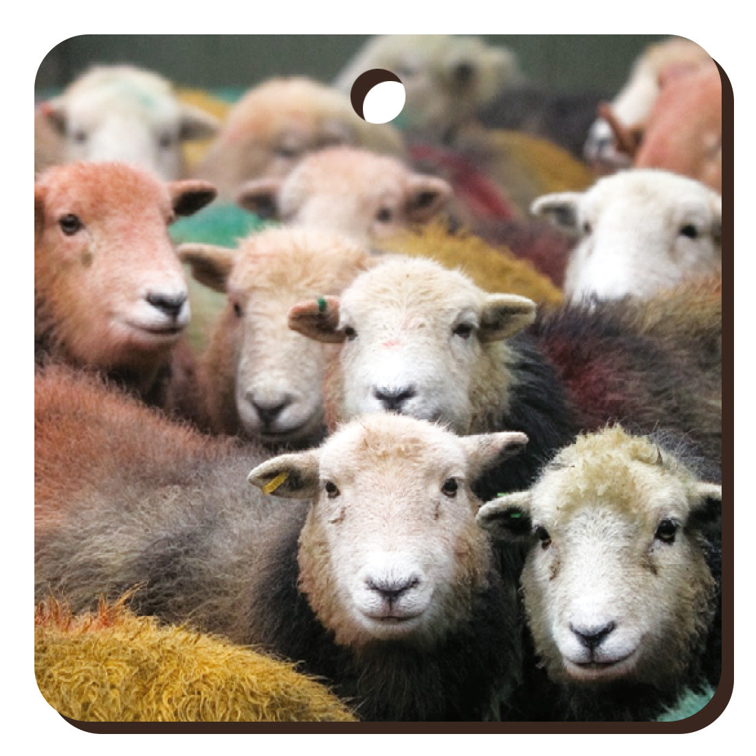 Herdwick Gang Wooden Keyring | Great Stuff from Cardtoons