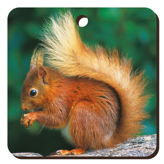 Red Squirrel Wooden Keyring | Great Stuff from Cardtoons